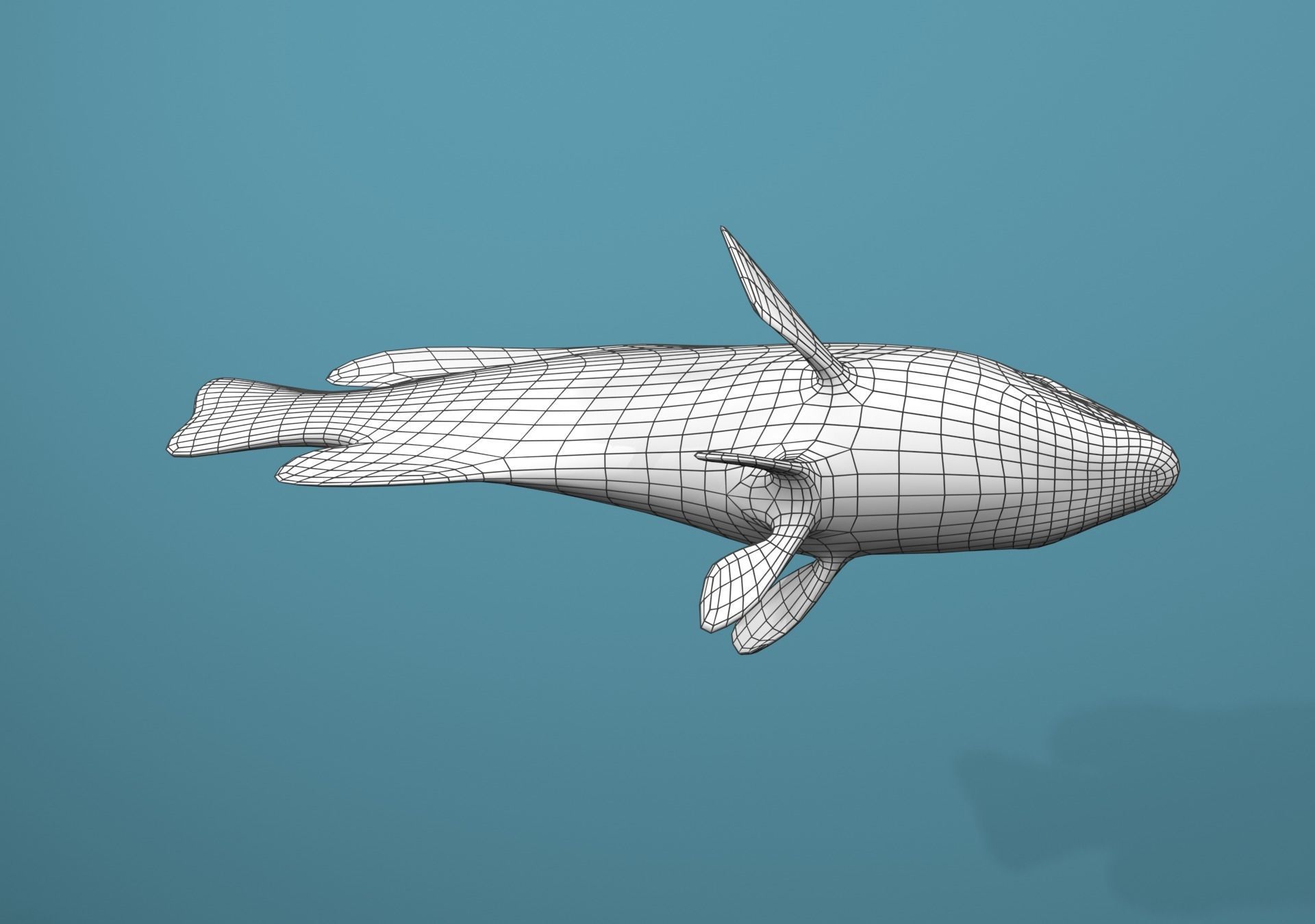 Roving Coral Grouper Low-poly 3D model_32