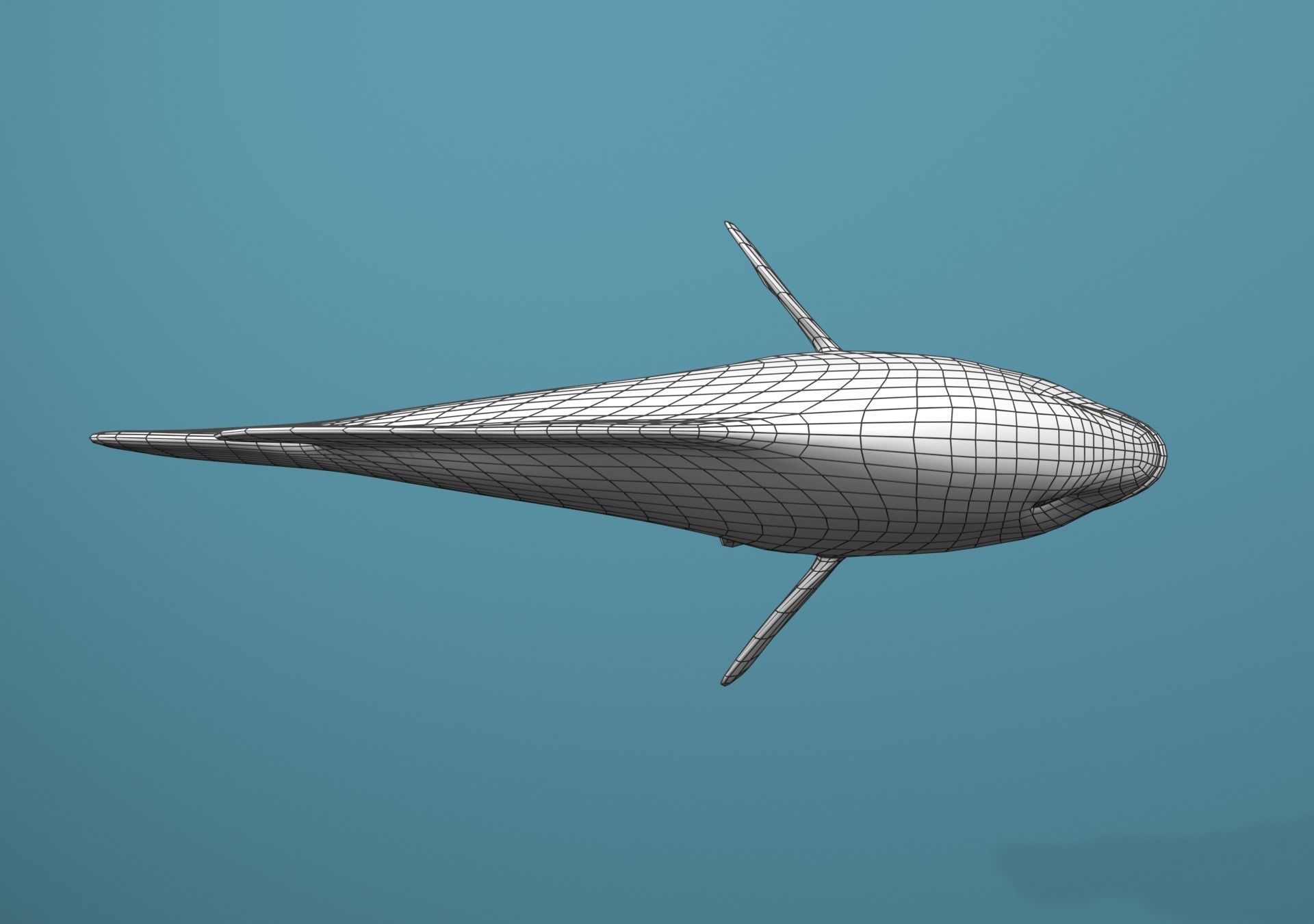 Roving Coral Grouper Low-poly 3D model_22