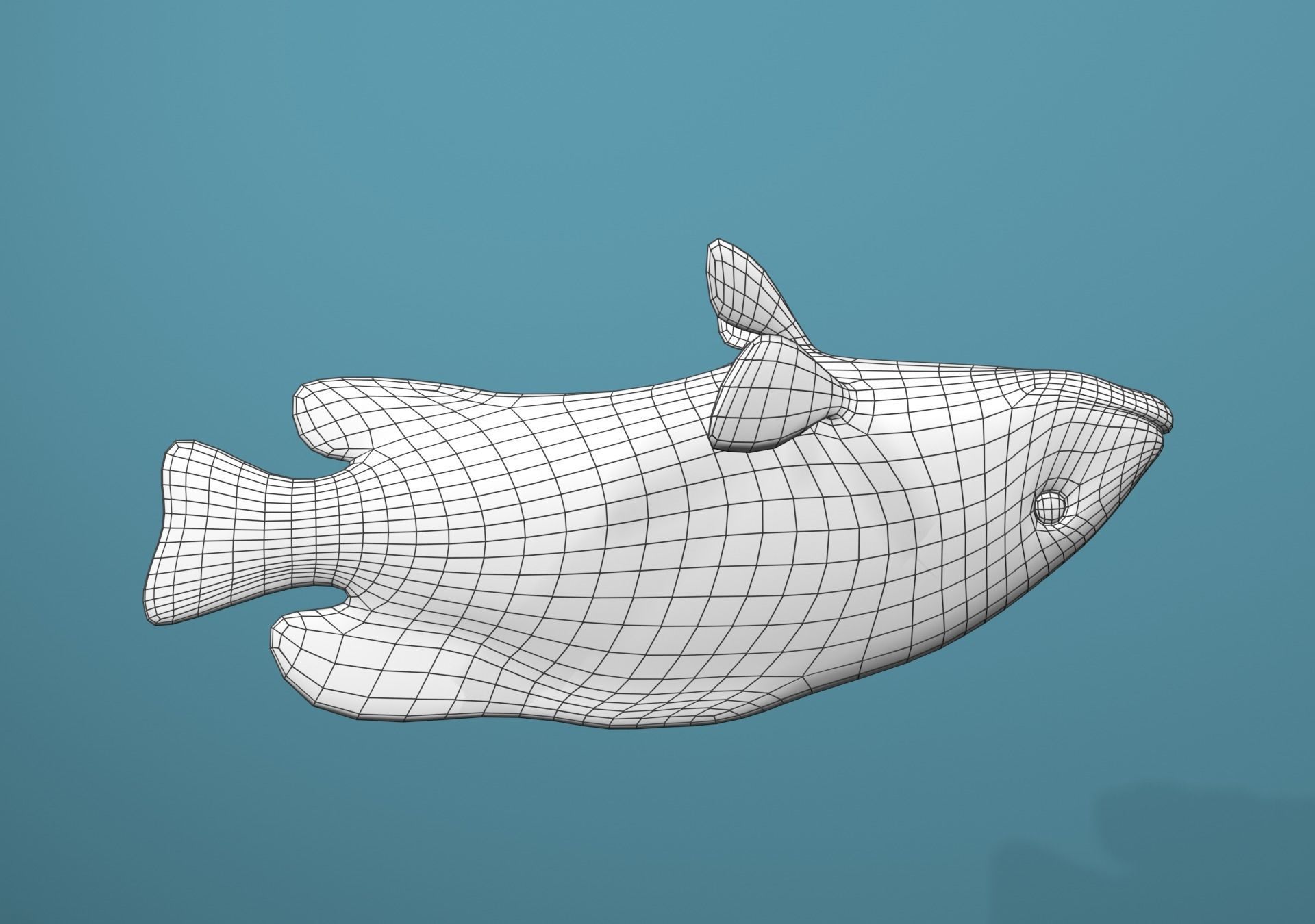 Roving Coral Grouper Low-poly 3D model_26