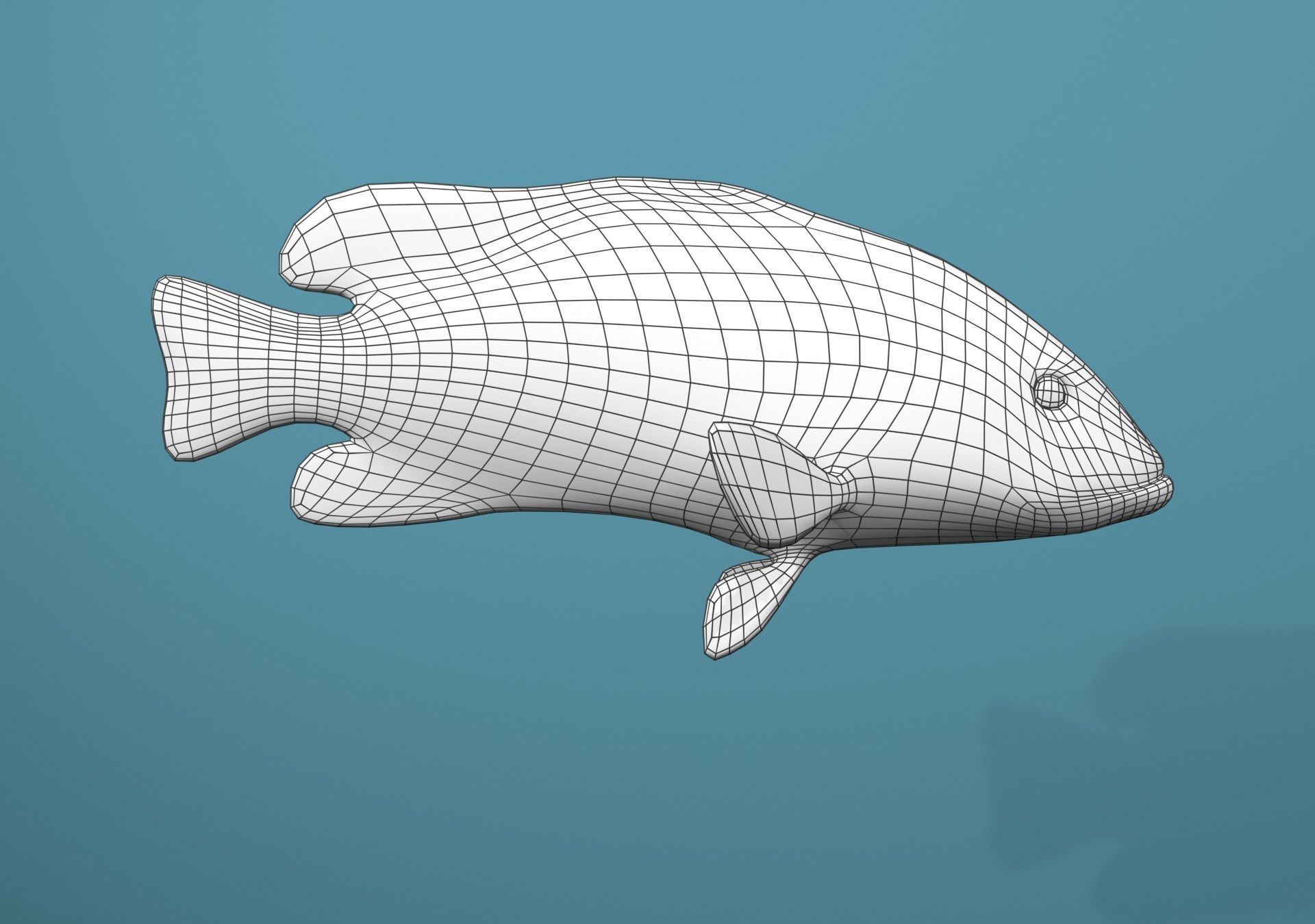Roving Coral Grouper Low-poly 3D model_2
