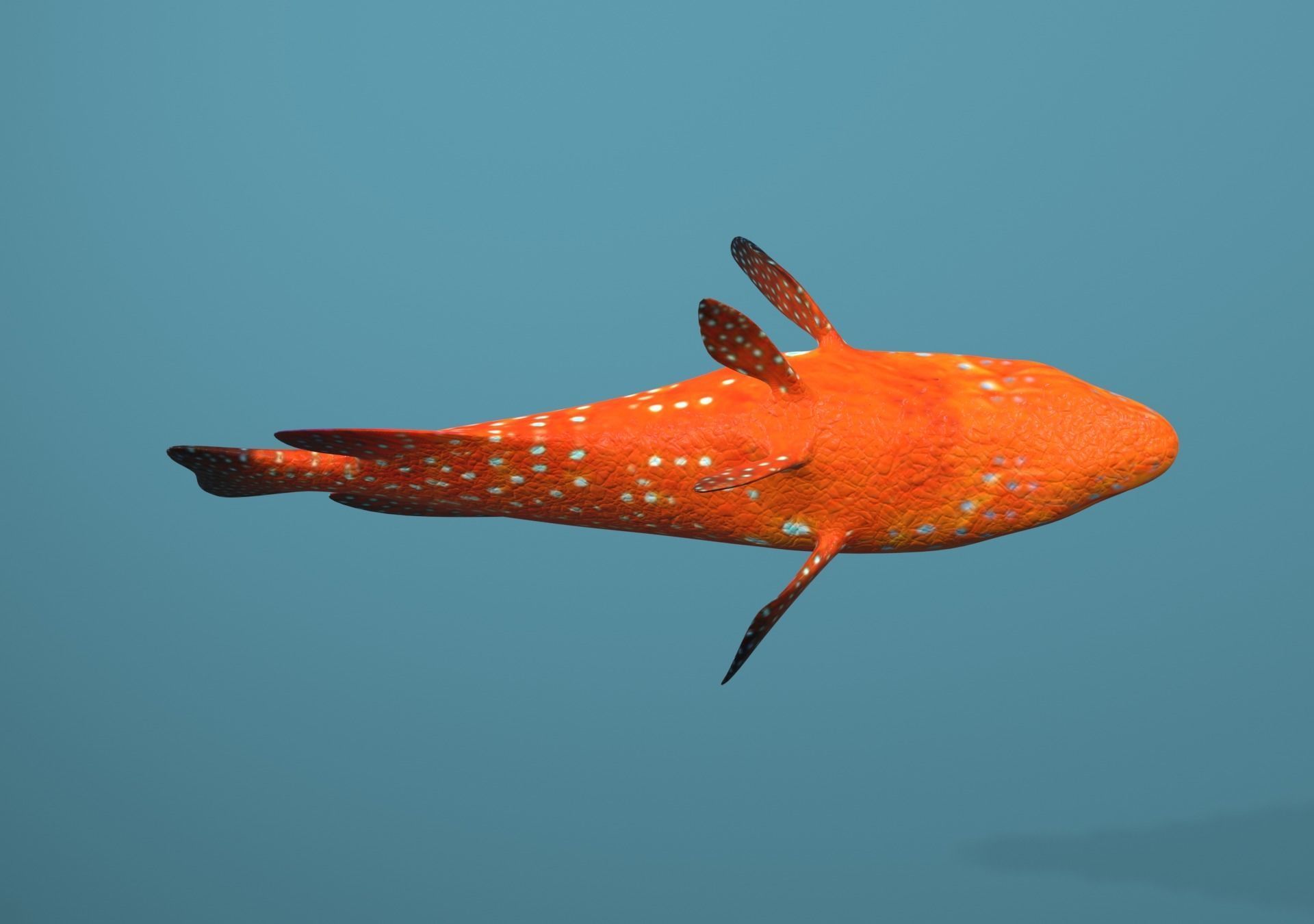 Roving Coral Grouper Low-poly 3D model_29