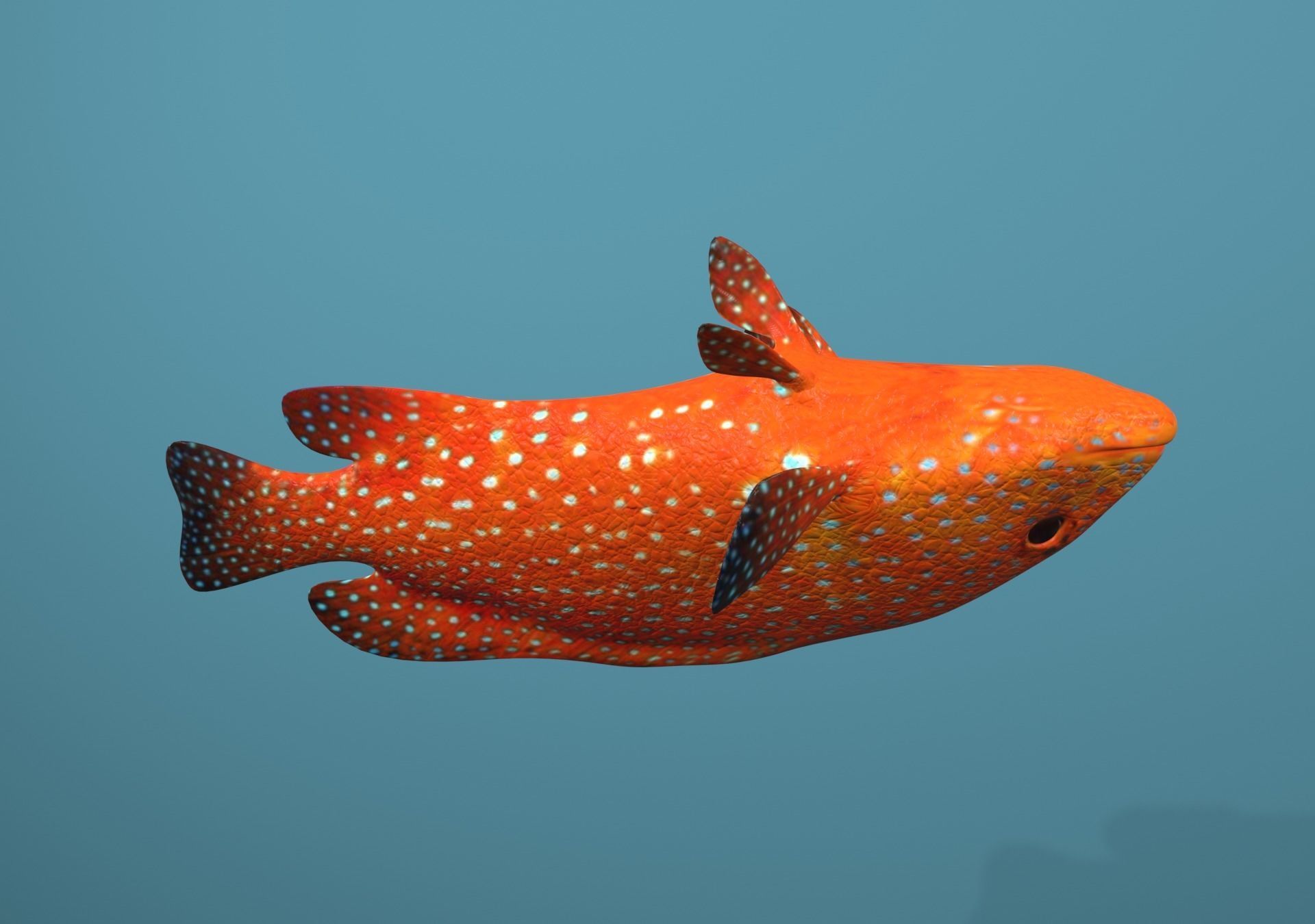 Roving Coral Grouper Low-poly 3D model_27