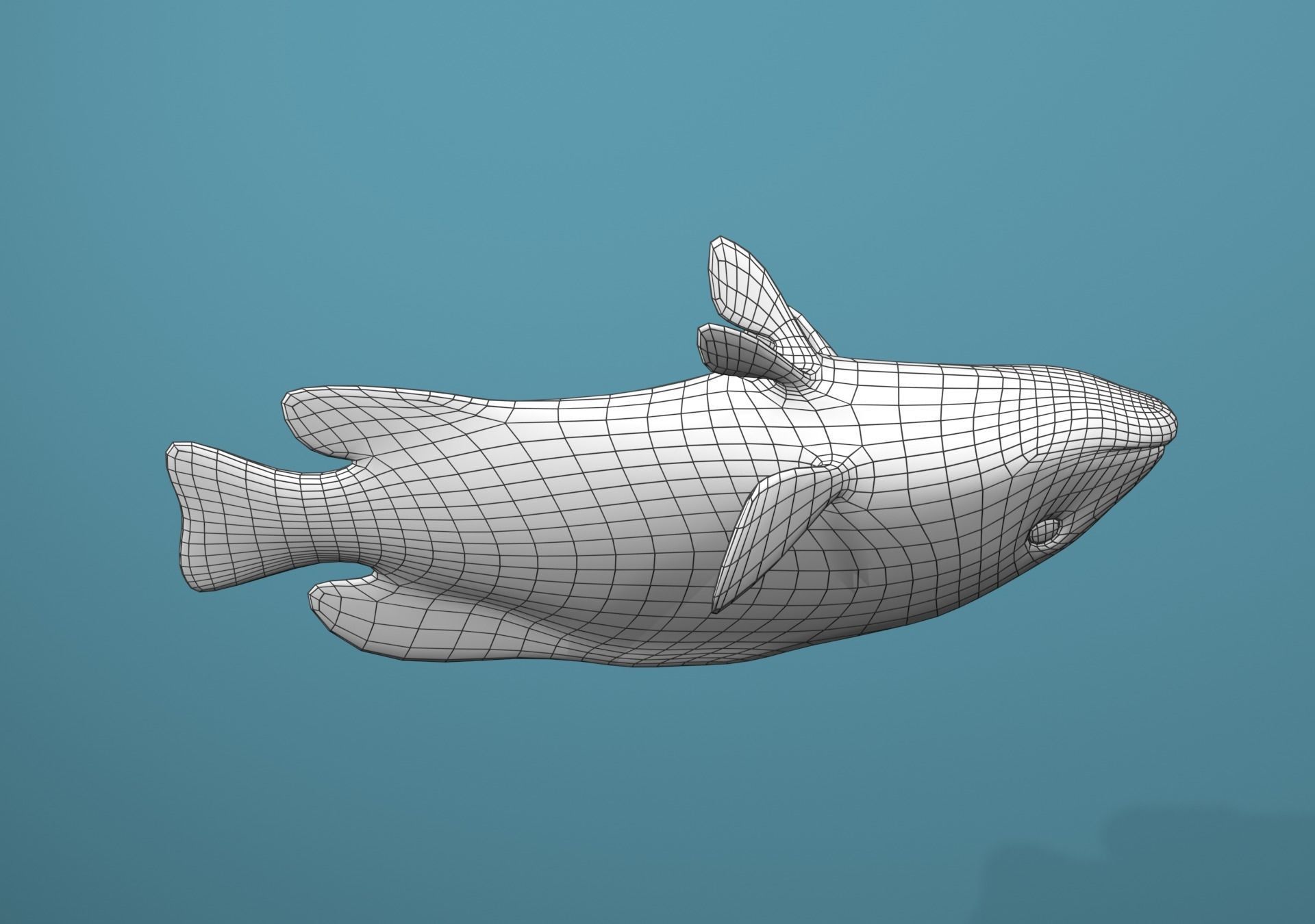 Roving Coral Grouper Low-poly 3D model_28