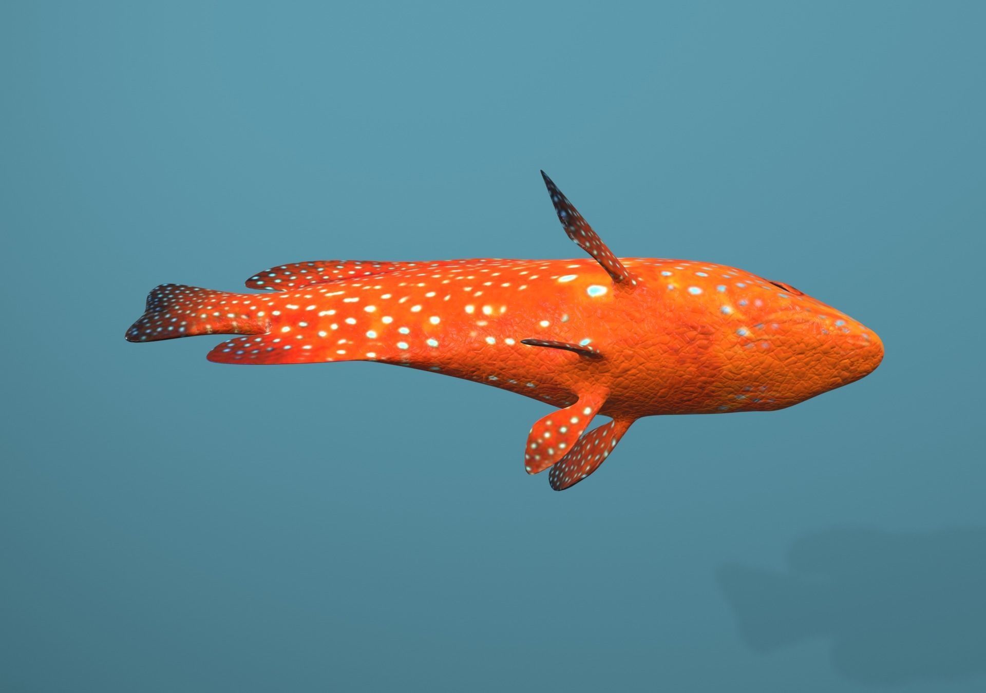 Roving Coral Grouper Low-poly 3D model_31