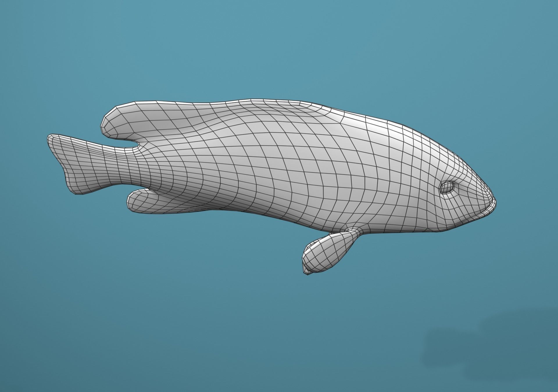 Roving Coral Grouper Low-poly 3D model_20
