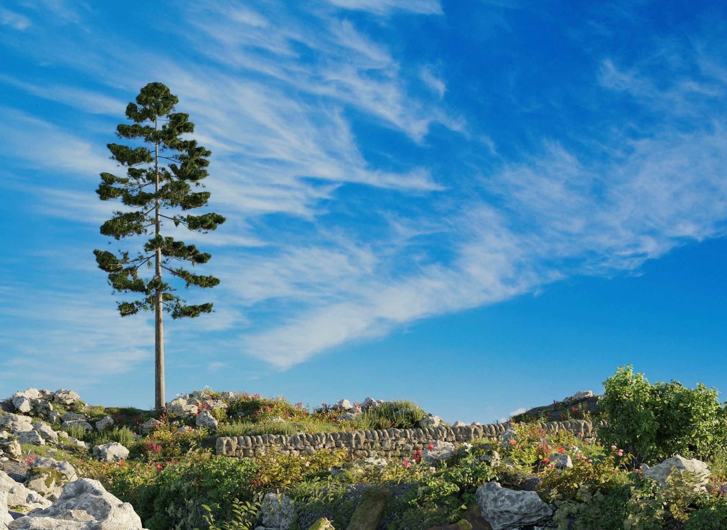 Nature scene and nature pack 3D model_2