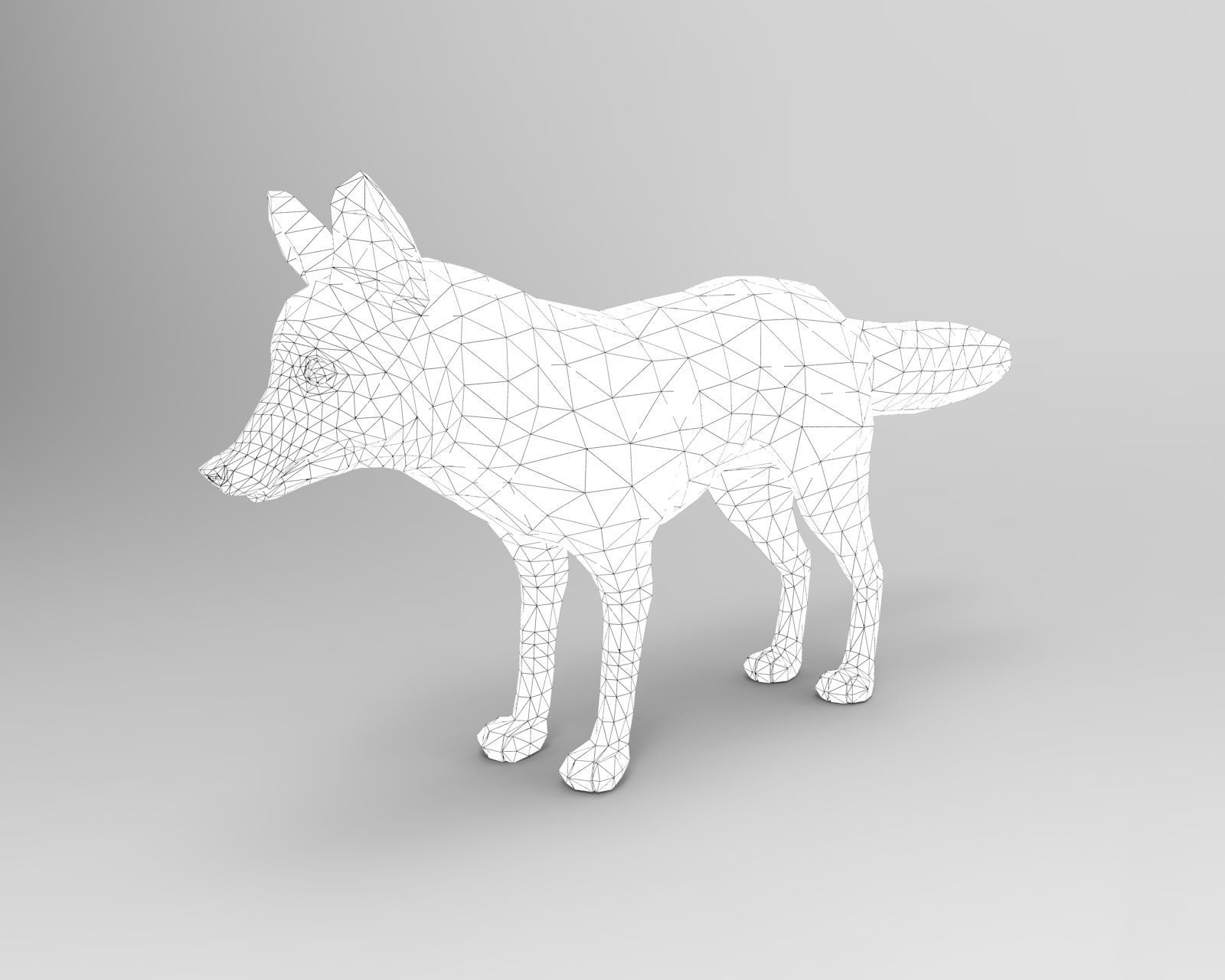 Fur Gray Fox Model Low-poly 3D model_14