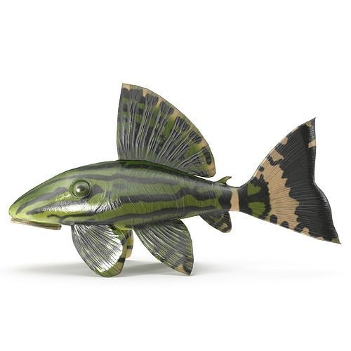 Catfish toy fish Low-poly 3D model