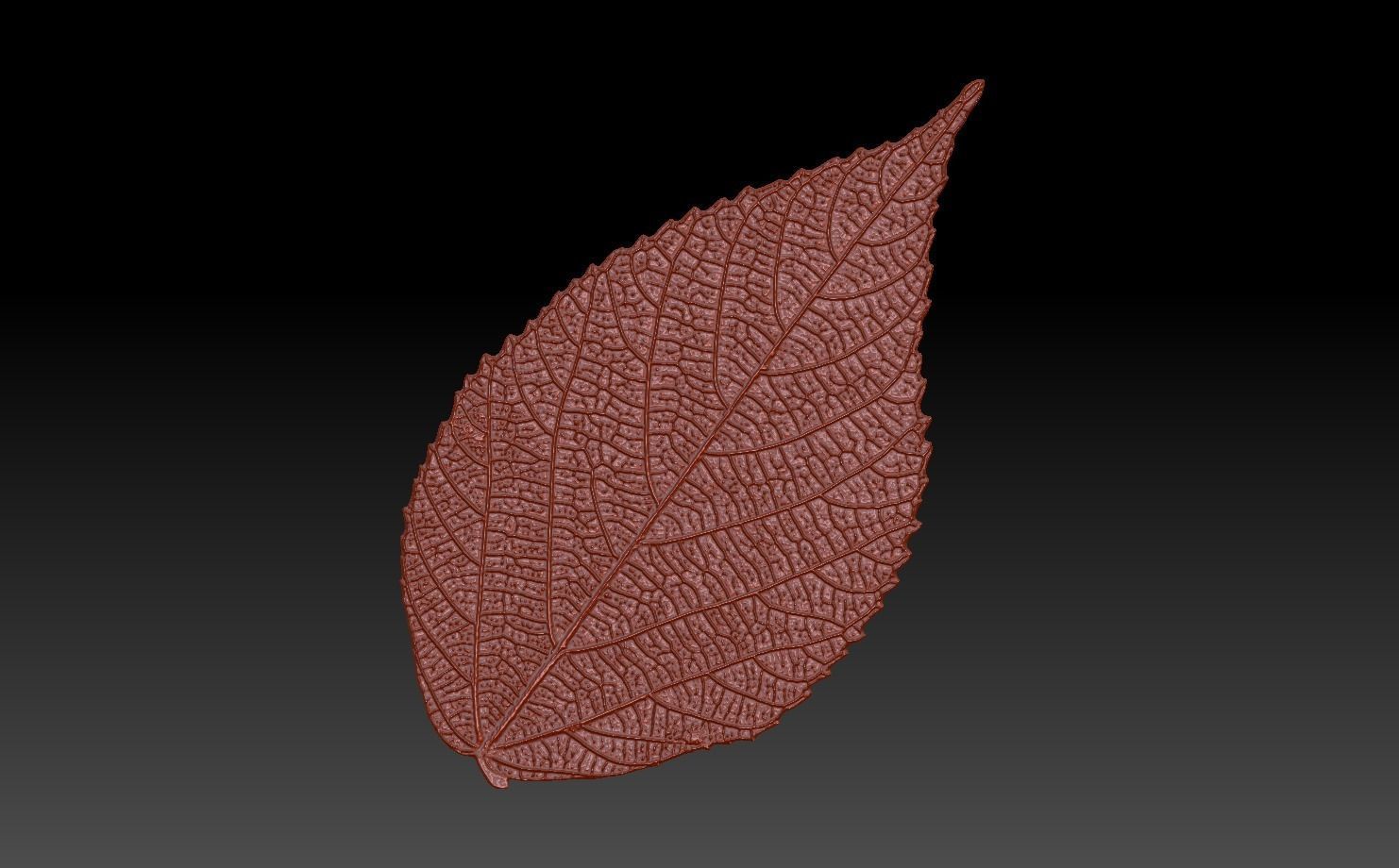 Green Leaf 3 3D model_4