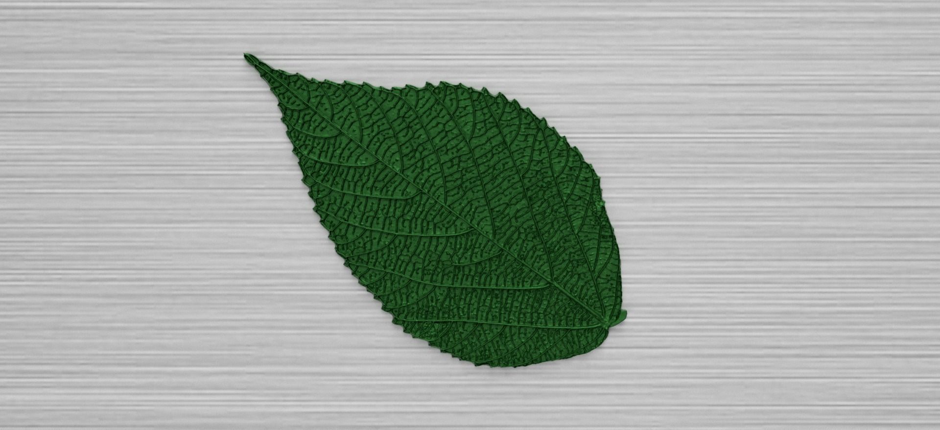 Green Leaf 3 3D model_0