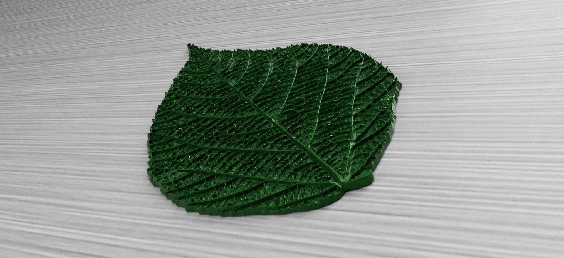 Green Leaf 3 3D model_2