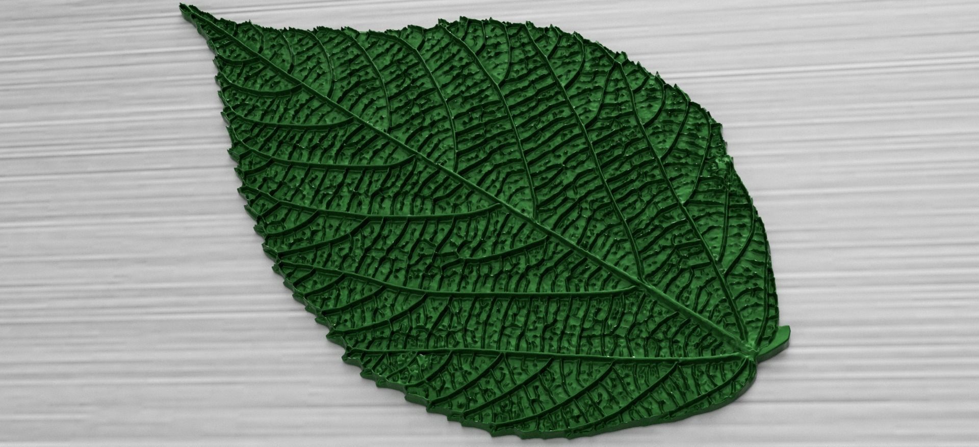 Green Leaf 3 3D model_1