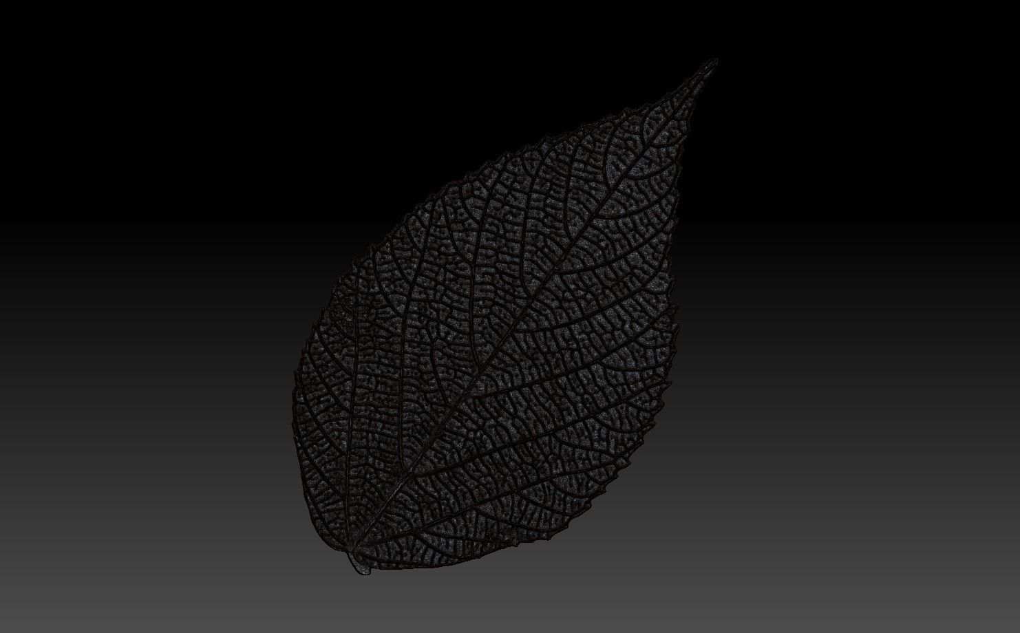 Green Leaf 3 3D model_5