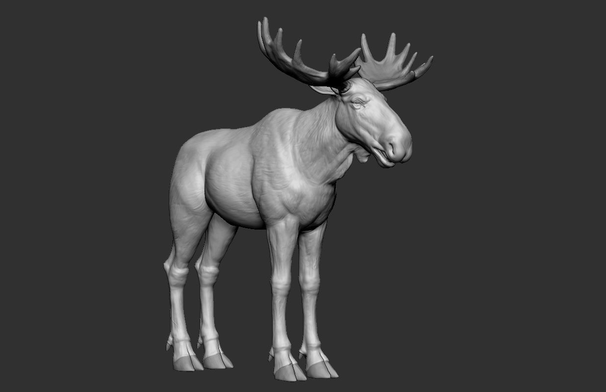 Moose low poly model Low-poly 3D model_4