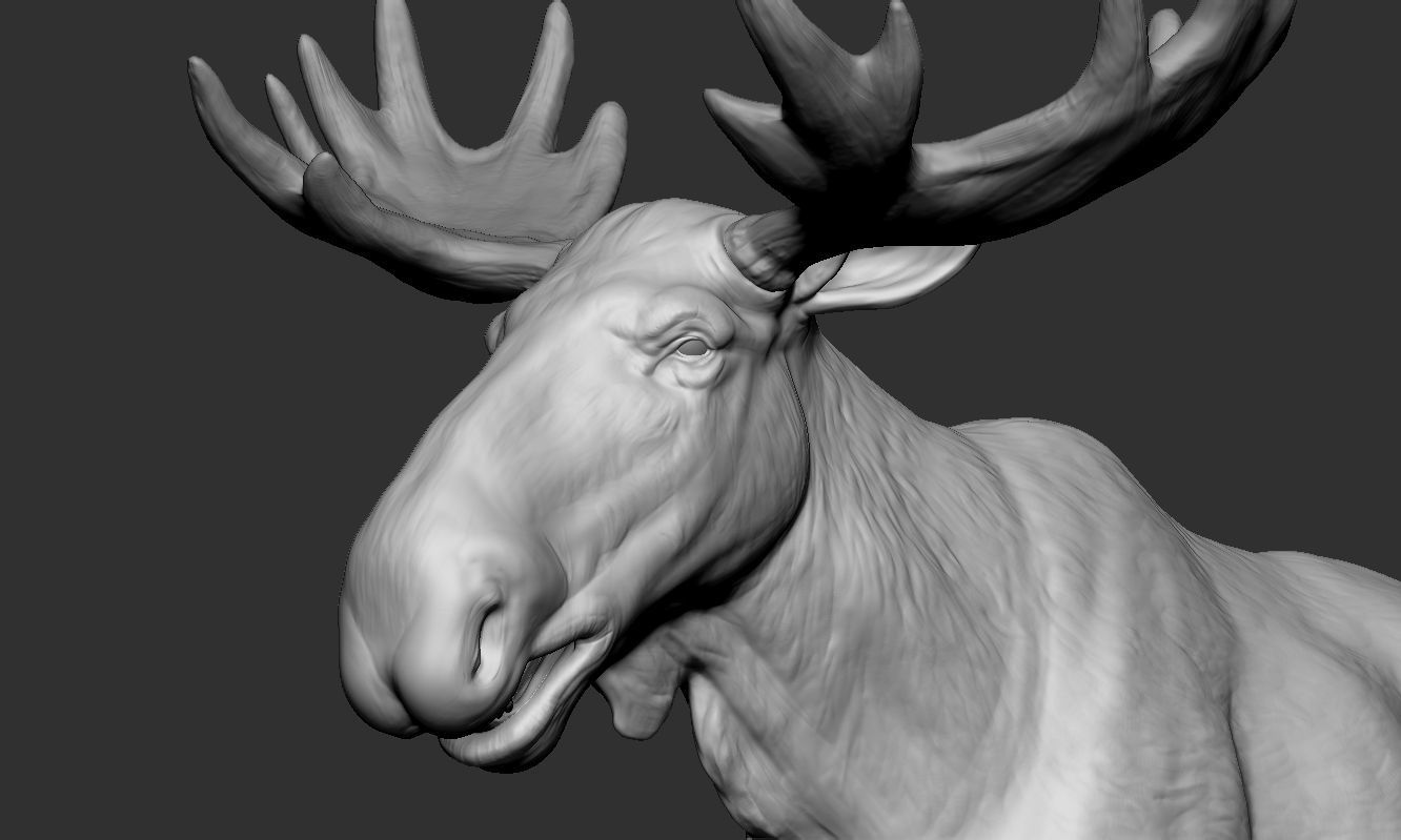 Moose low poly model Low-poly 3D model_6