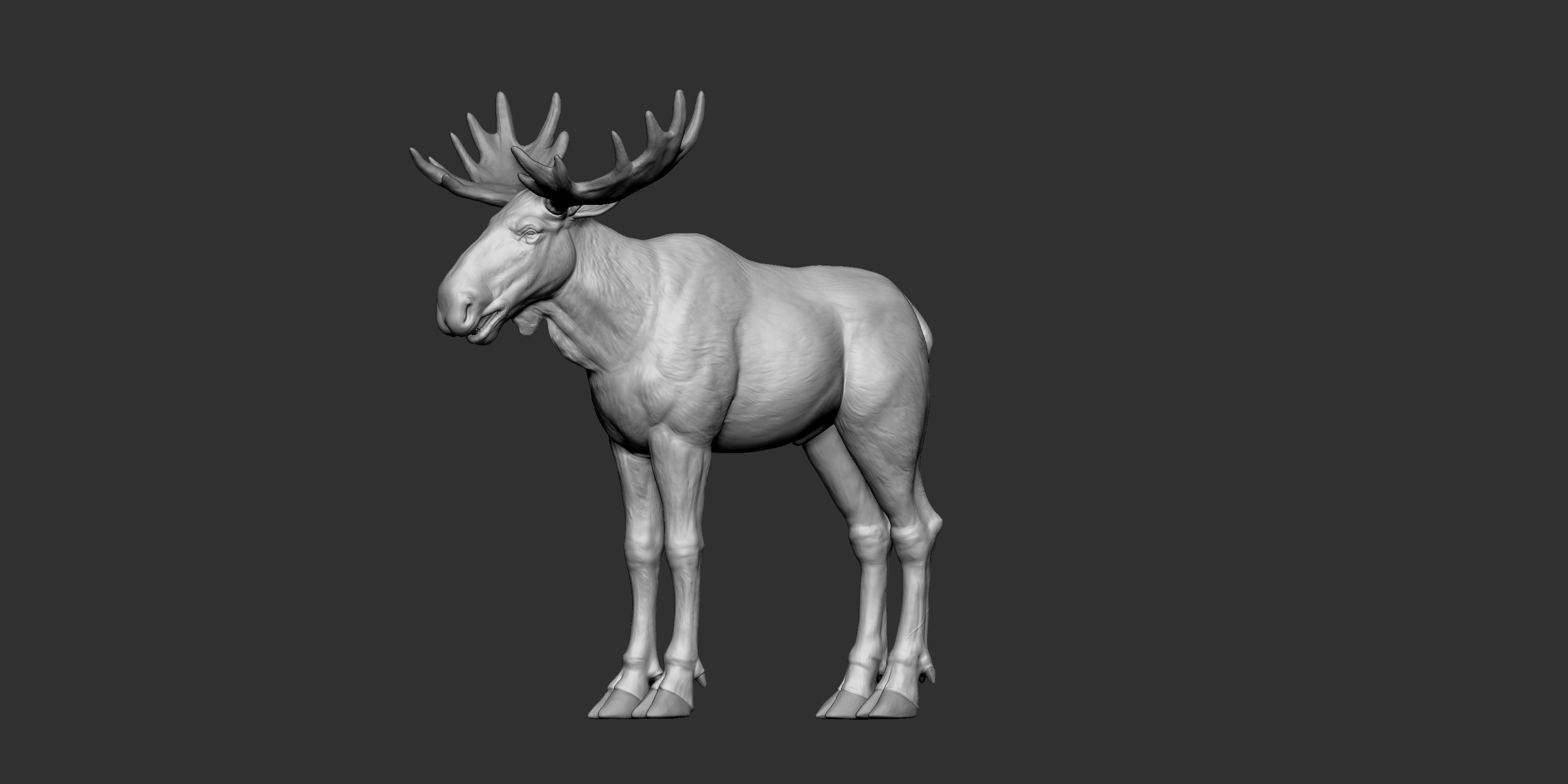 Moose low poly model Low-poly 3D model_10
