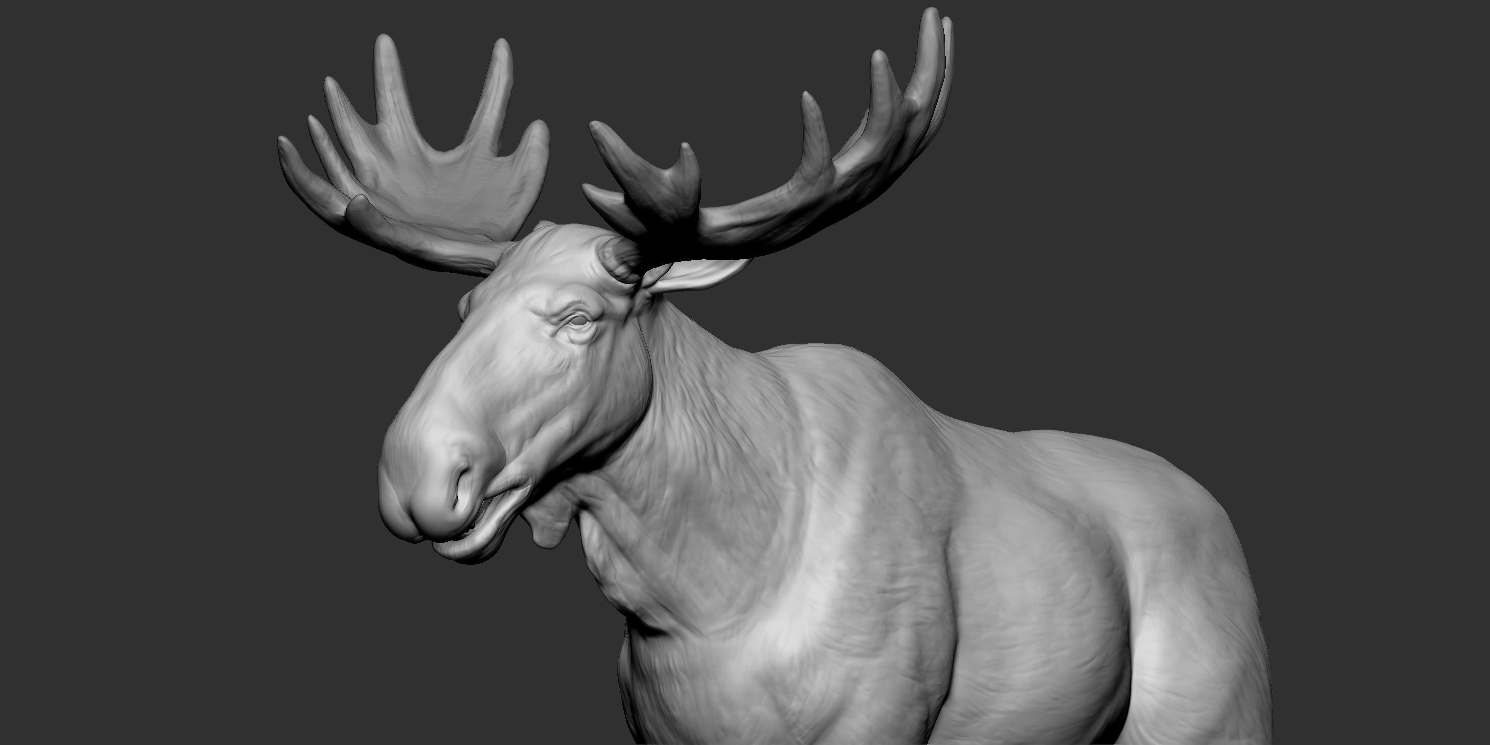 Moose low poly model Low-poly 3D model_5