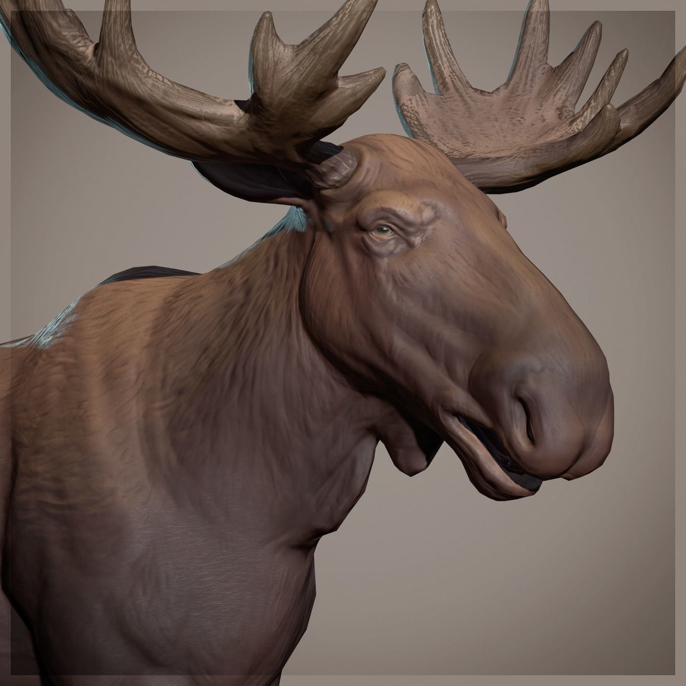 Moose low poly model Low-poly 3D model_2