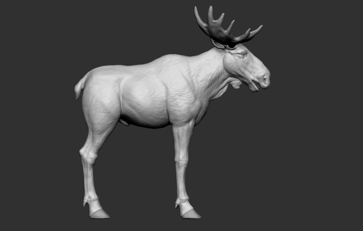 Moose low poly model Low-poly 3D model_7