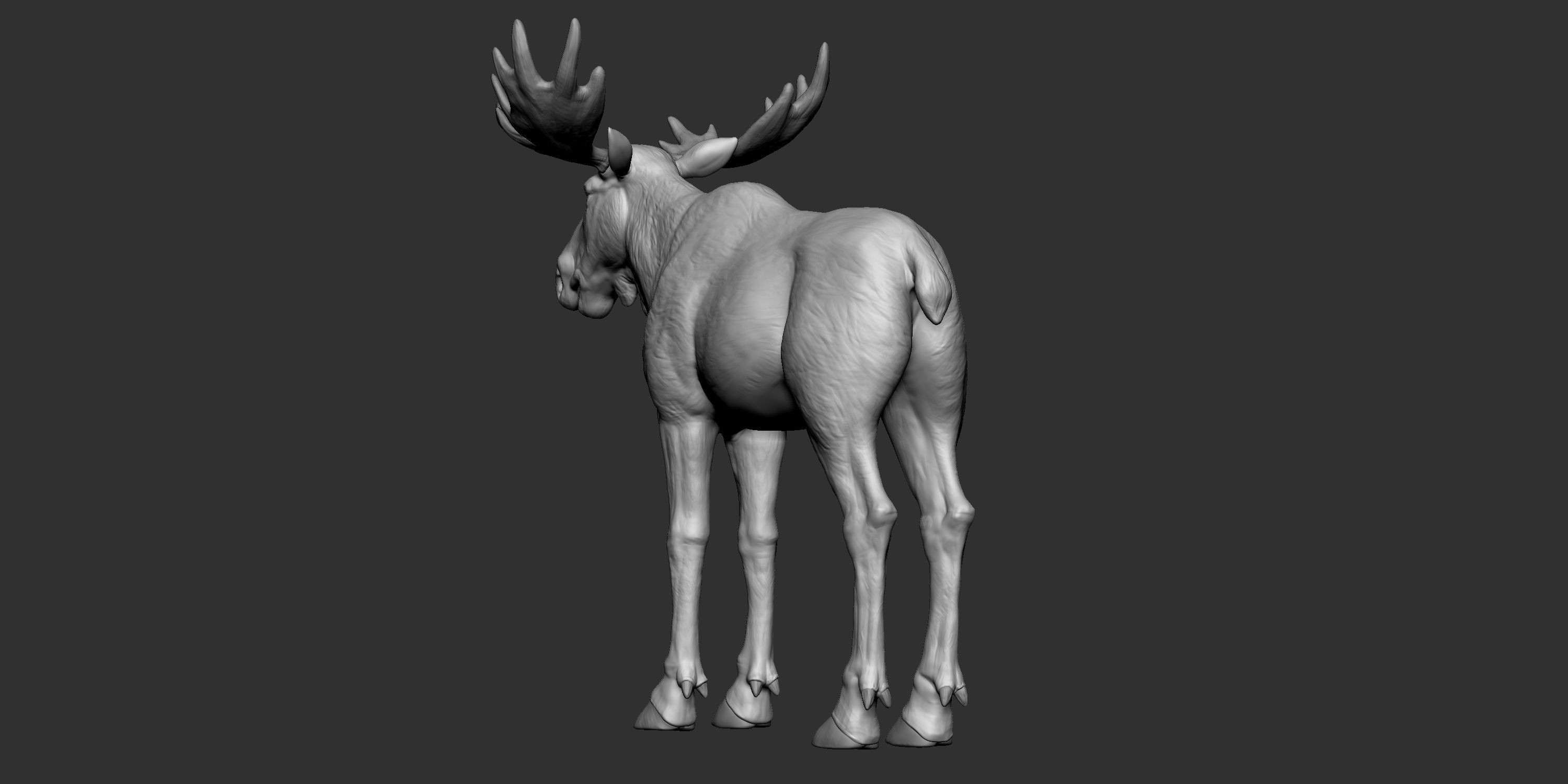 Moose low poly model Low-poly 3D model_9
