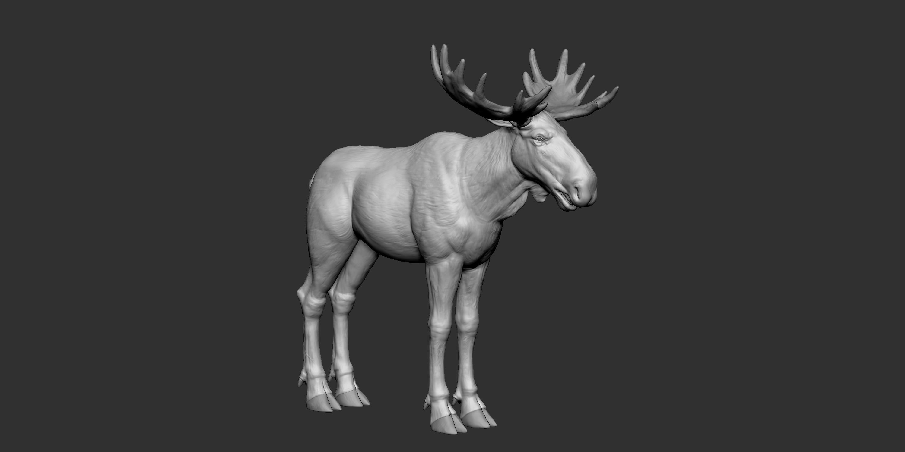 Moose low poly model Low-poly 3D model_8