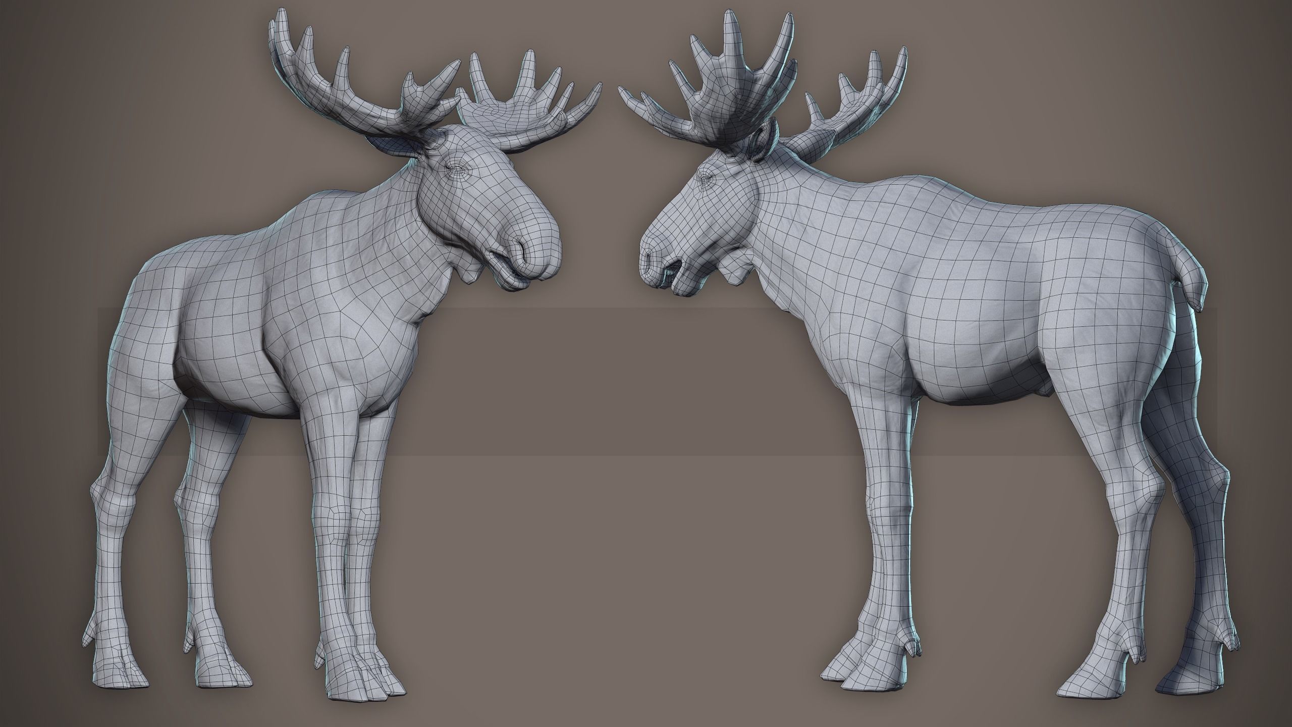 Moose low poly model Low-poly 3D model_3