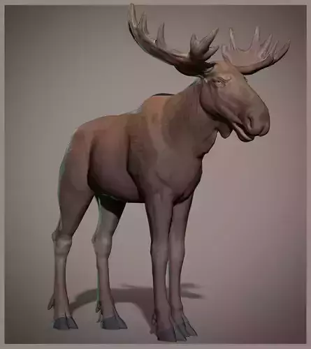 Moose low poly model Low-poly 3D model