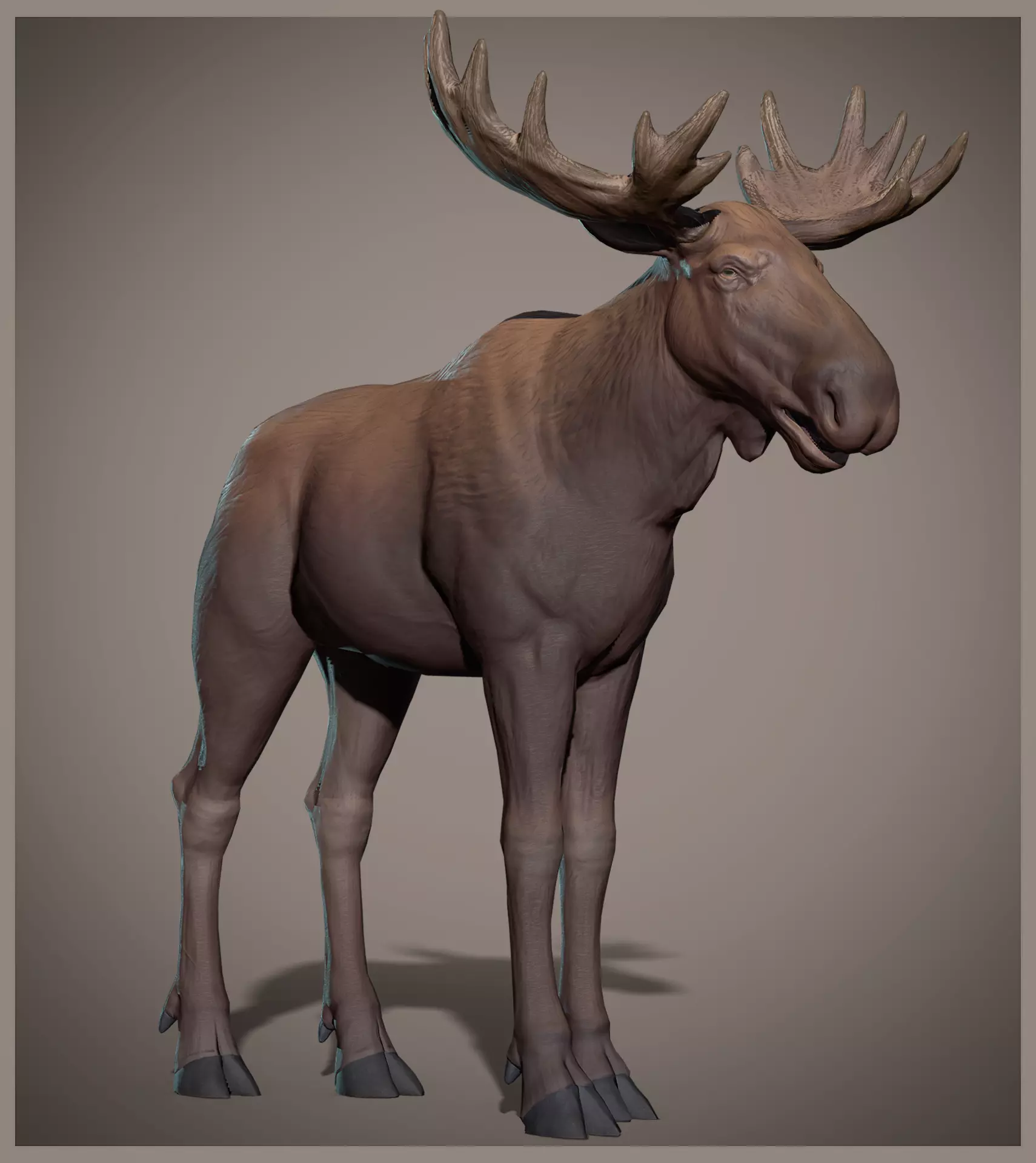 Moose low poly model Low-poly 3D model_0