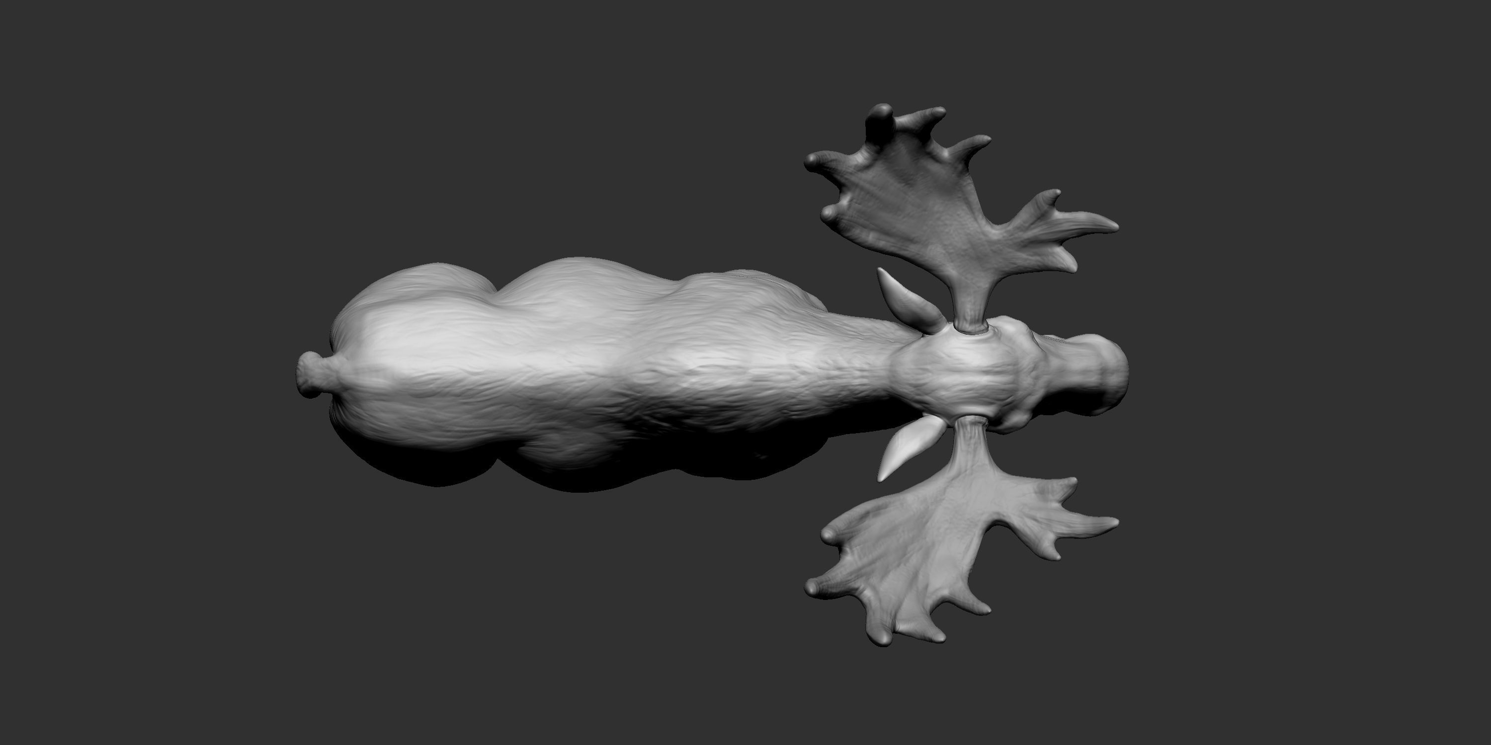 Moose low poly model Low-poly 3D model_12