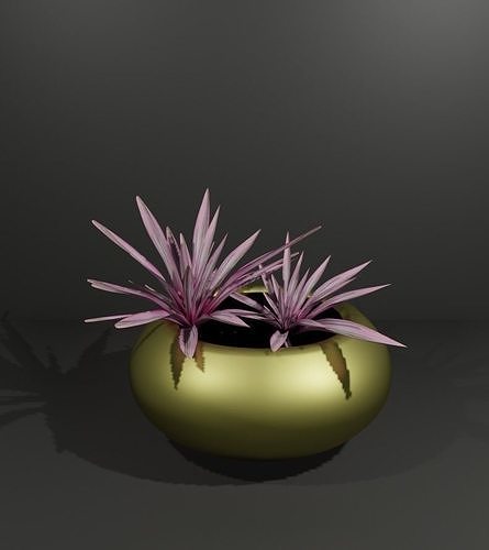 Indoor plant sansaveria pink Low-poly 3D model