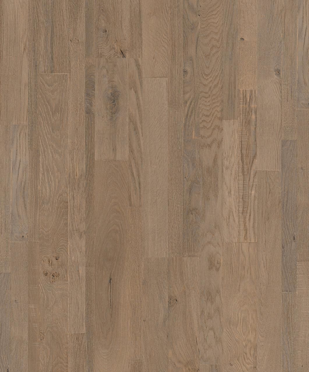 FACADE leaf Low-poly 3D model_15