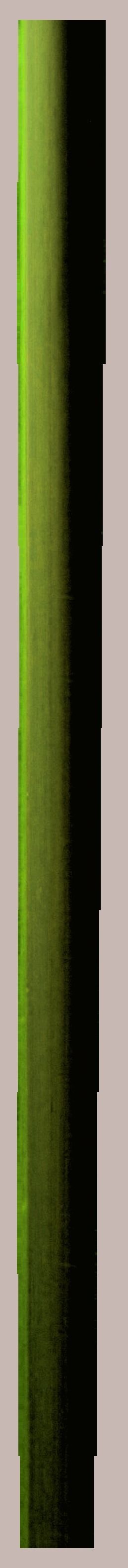 FACADE leaf Low-poly 3D model_14