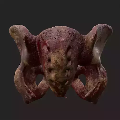 Horror Prop Bloody Pelvis