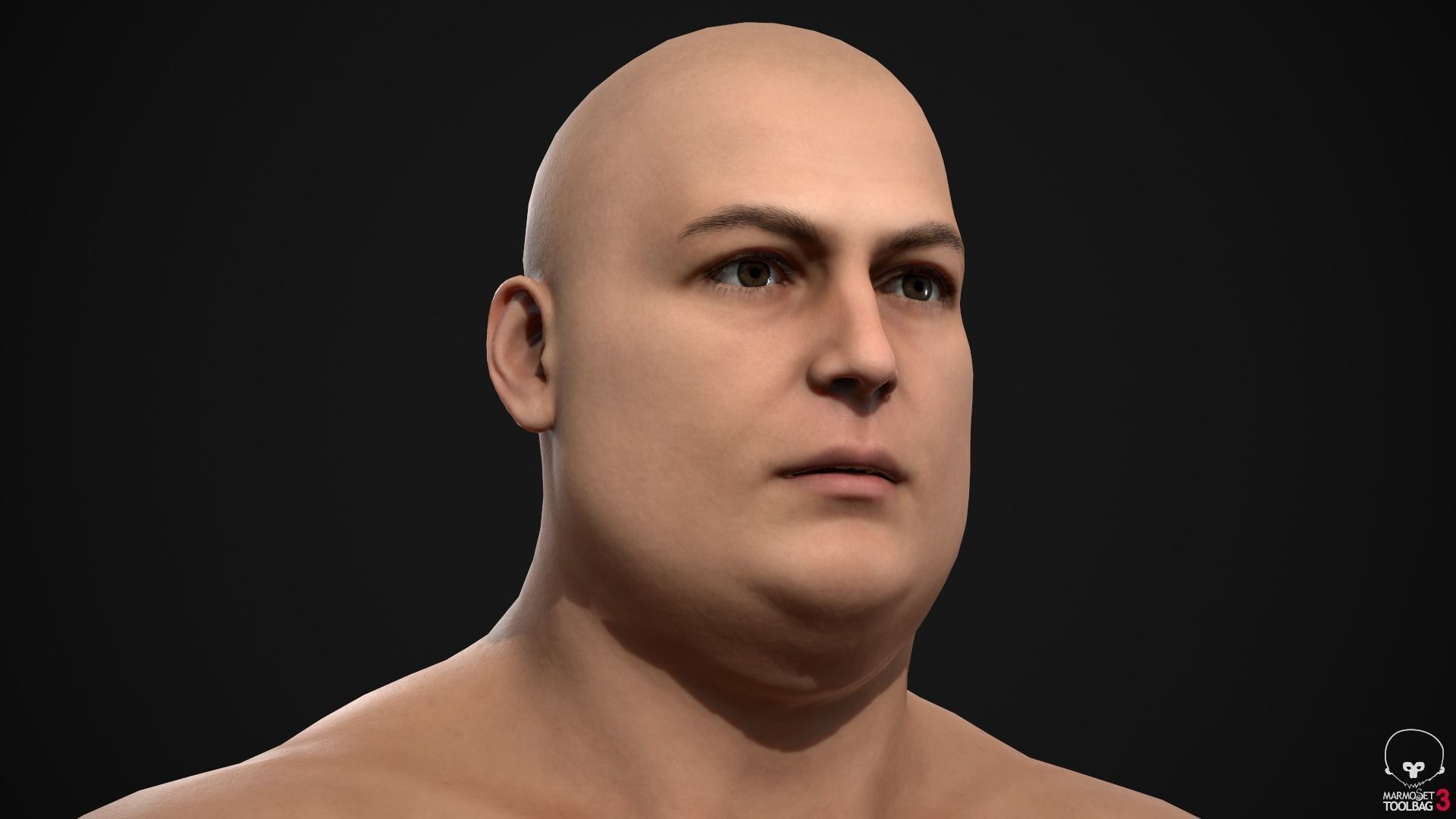 Plus size man body Low-poly 3D model_16