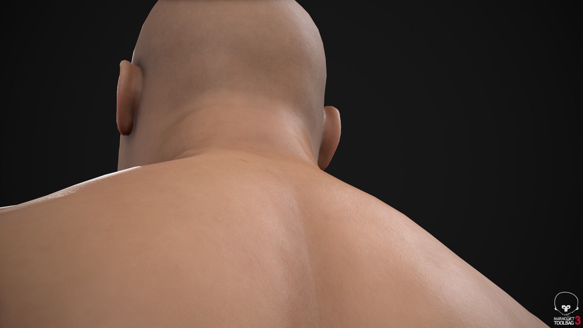 Plus size man body Low-poly 3D model_22