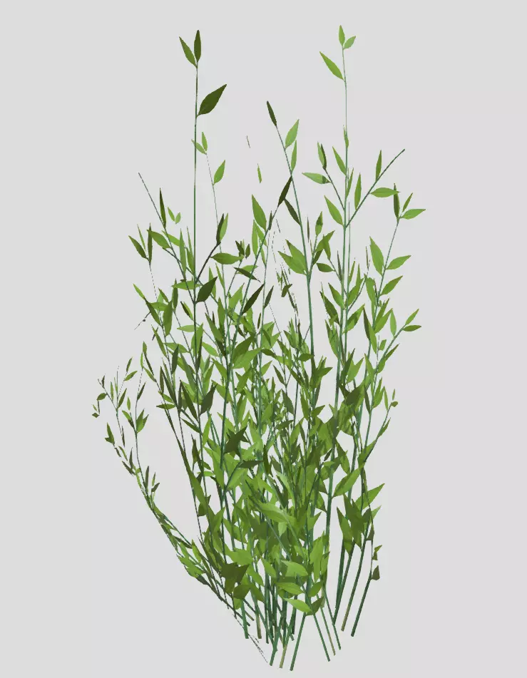 Grass Displacement Free 3D model
