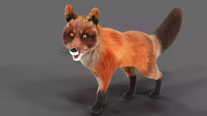 Fur Fox Rigged 01