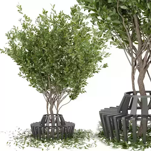 Collection plant vol 106