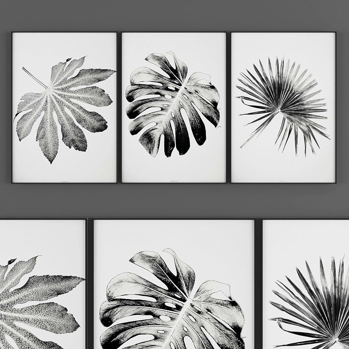 Pictures862 set of pictures of trees Low-poly 3D model_2