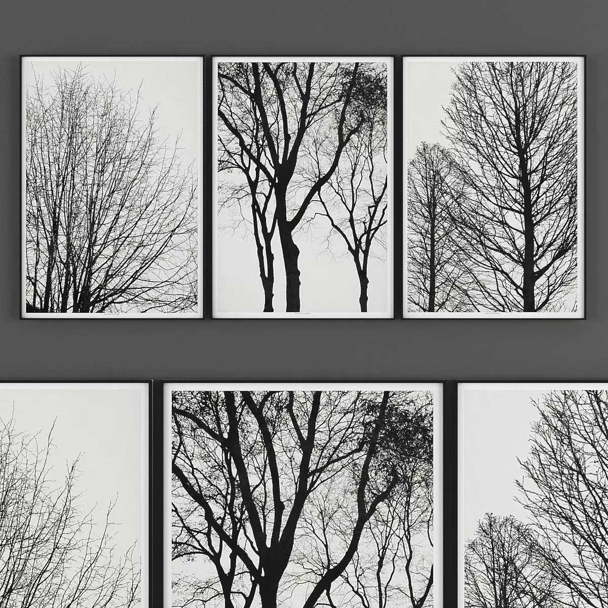 Pictures862 set of pictures of trees Low-poly 3D model_0