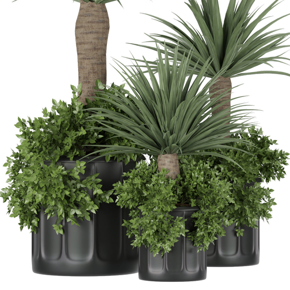 Collection plant vol 108 3D model_1