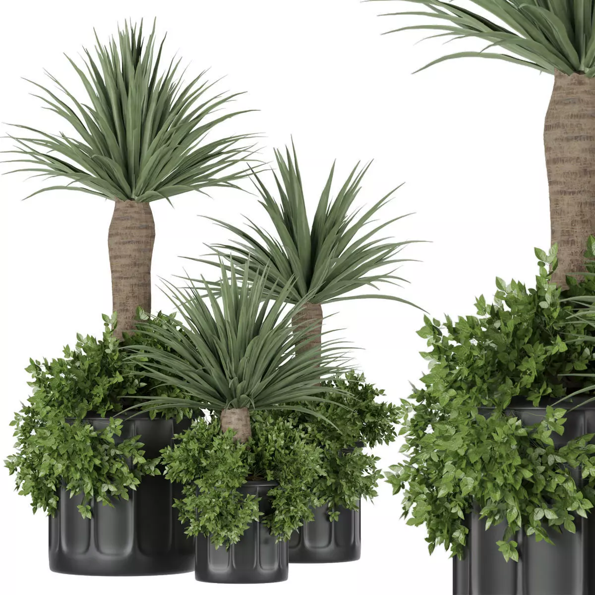 Collection plant vol 108 3D model_0