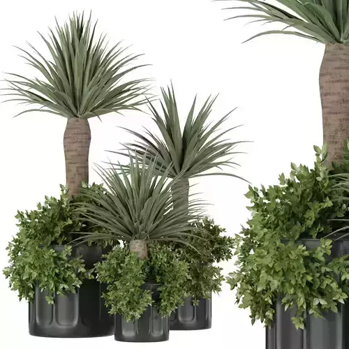 Collection plant vol 108 3D model