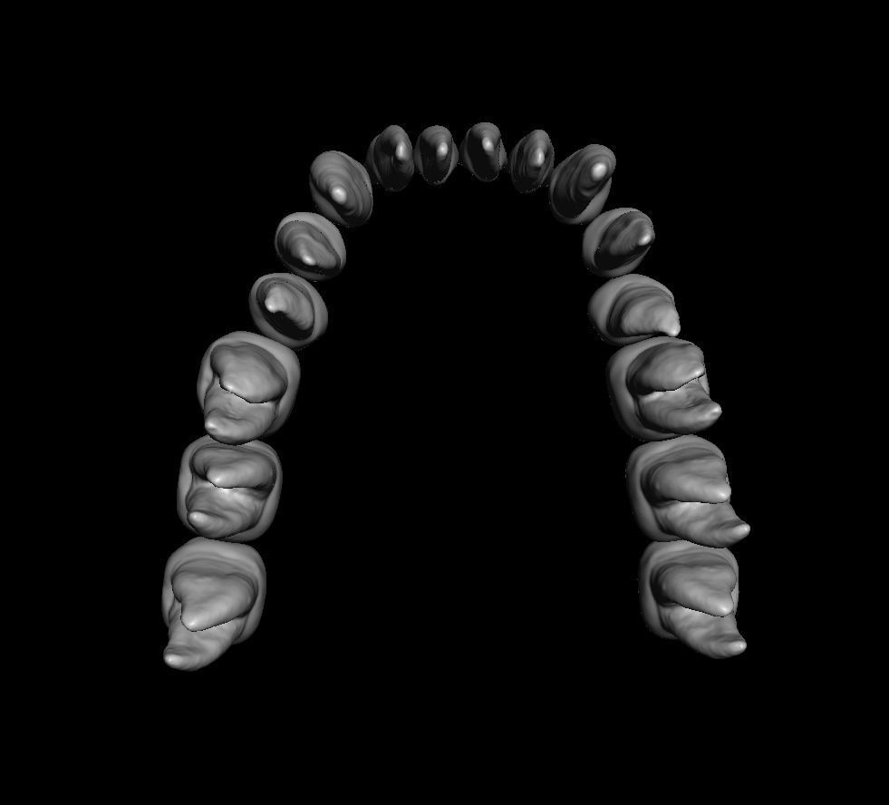 Anatomic Teeth with Roots Lower Arch 3D Model 3D print model_5