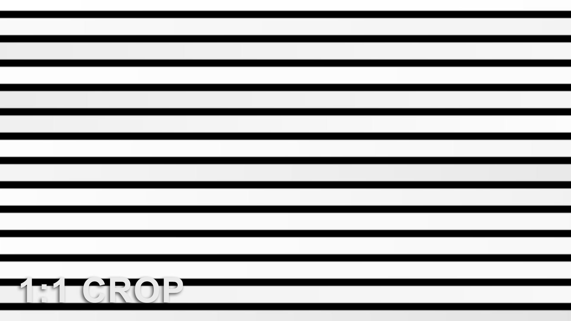 Siberian larch lamellas cladding texture Texture_7