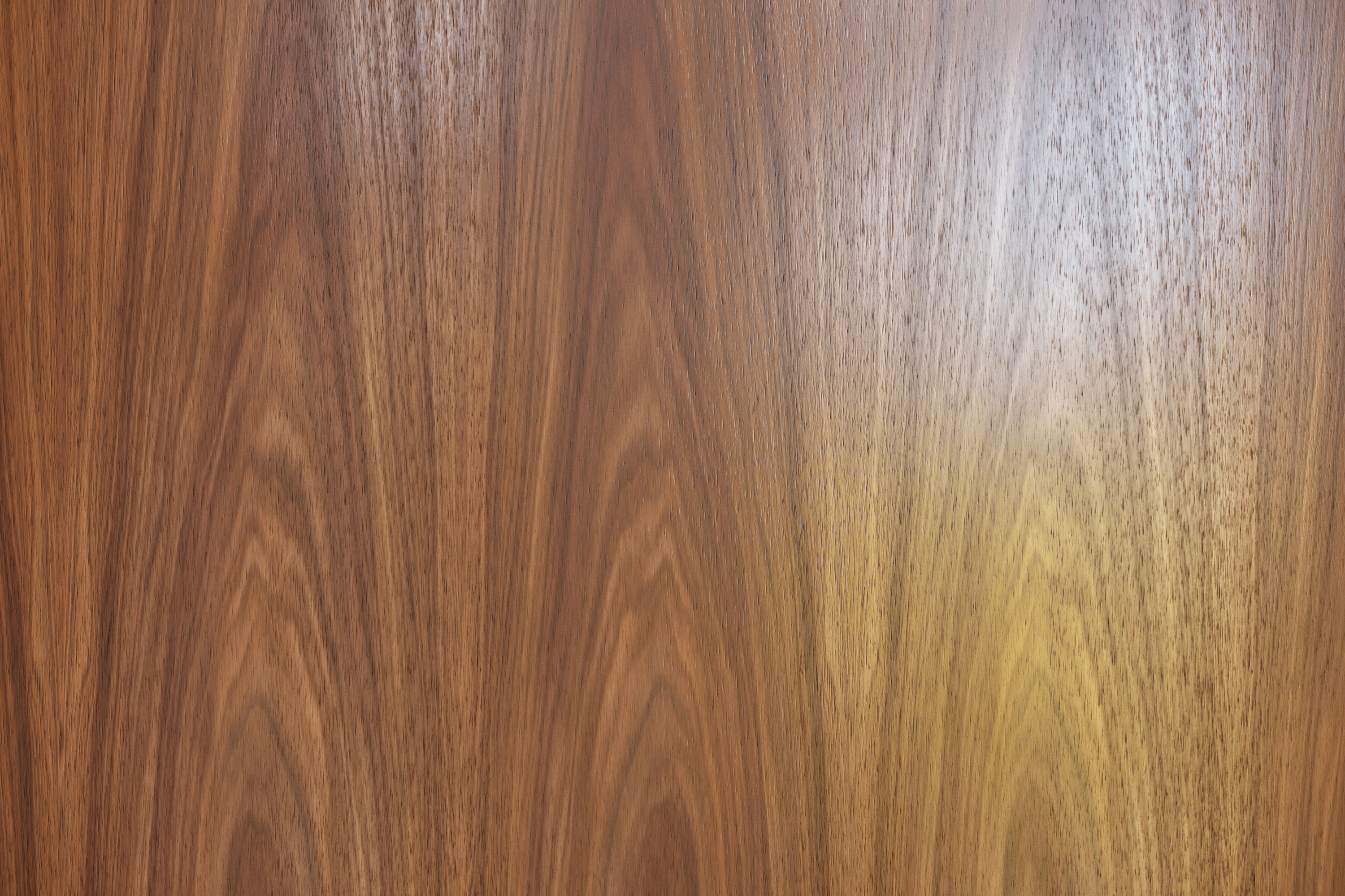 Walnut face cut veneer texture Texture_5