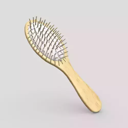 Hair Brush