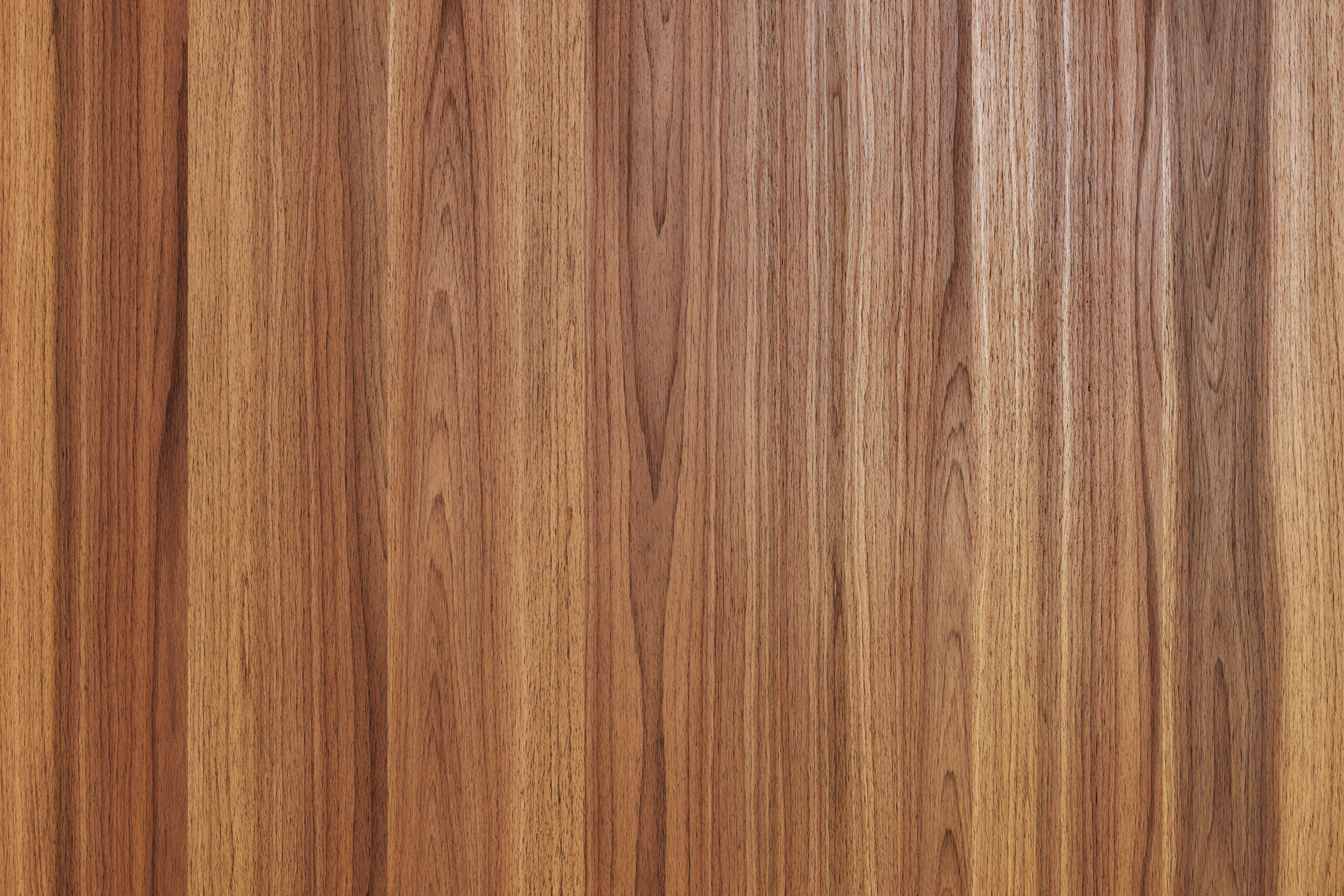 Raw Walnut veneer texture Texture_5
