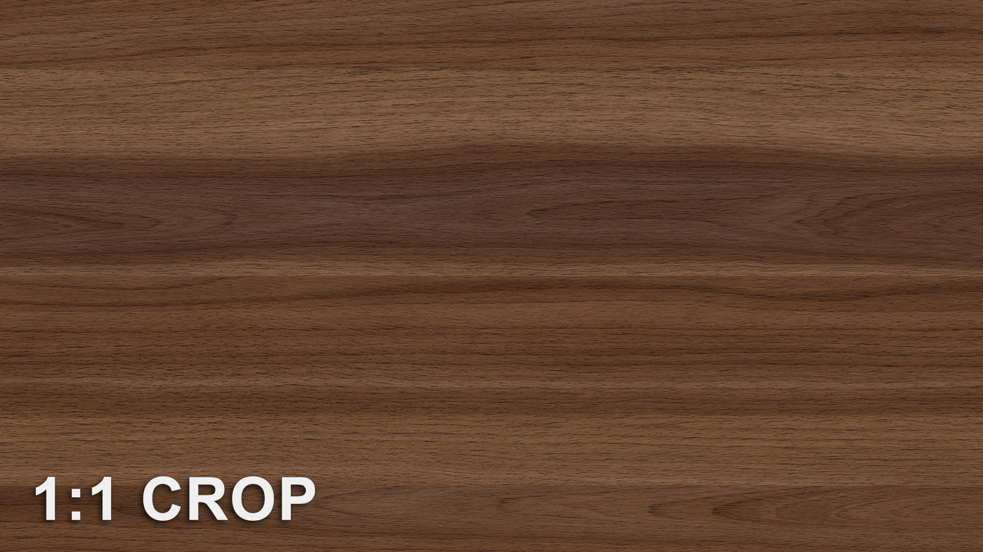 Raw Walnut veneer texture Texture_6