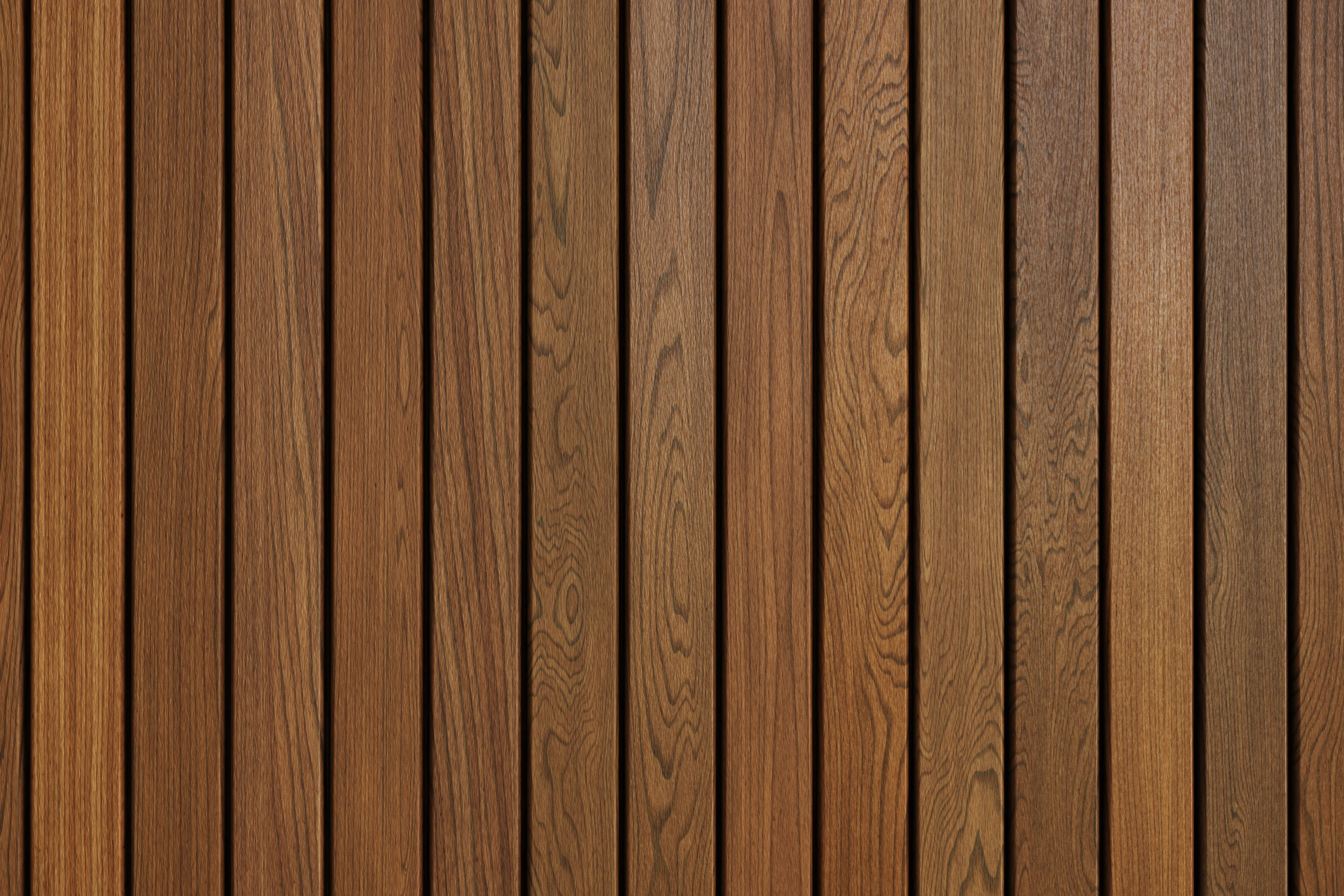 Siberian Larch glossy texture Texture_5